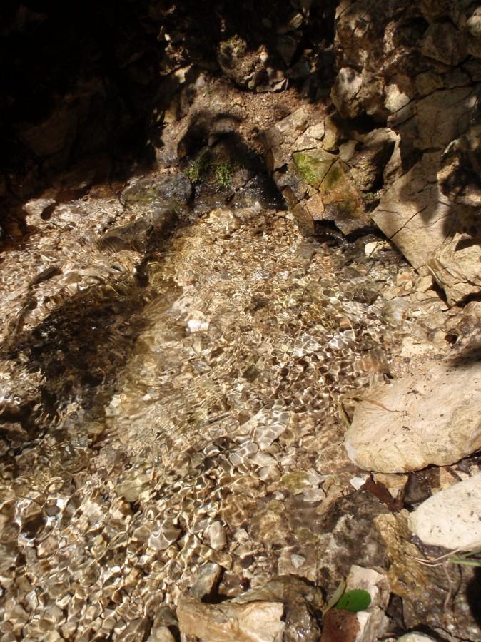 Naturalna mozaika