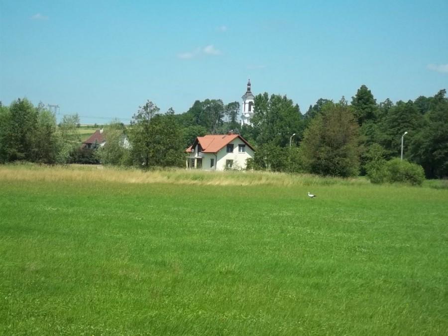 Bociek