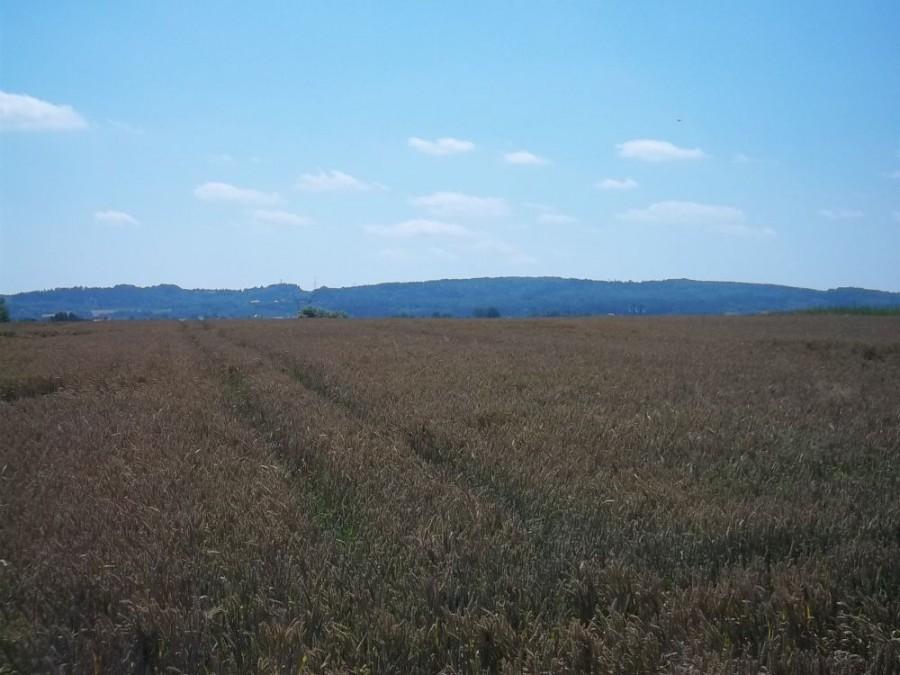 okoliczny krajobraz