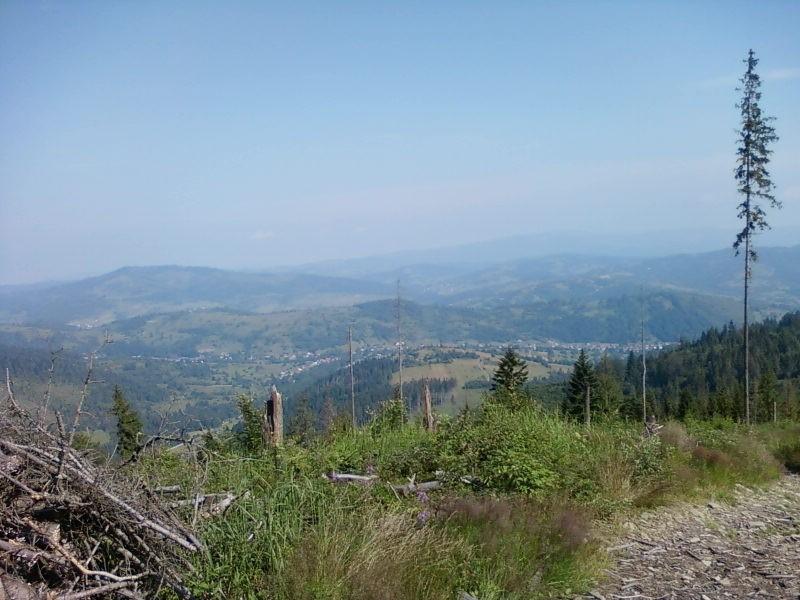 Widok ze szlaku