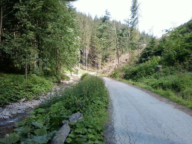 Dolina Danielki