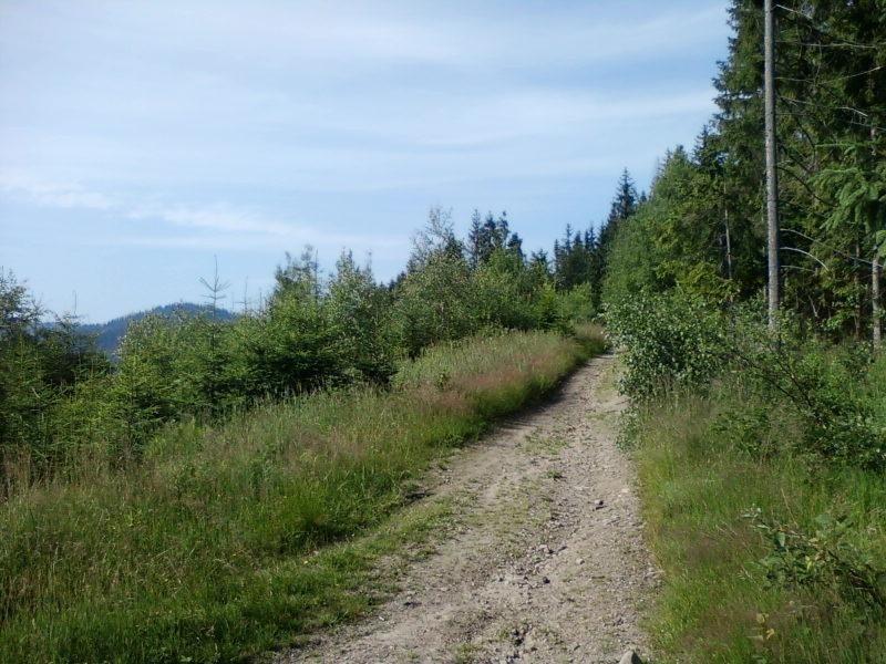 Płaska część szlaku