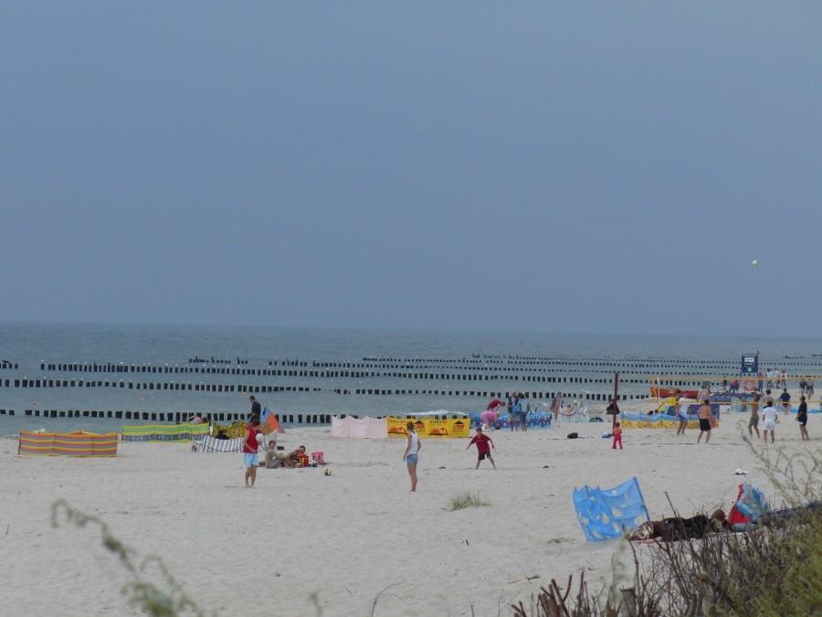 Plaża na płw. helskim