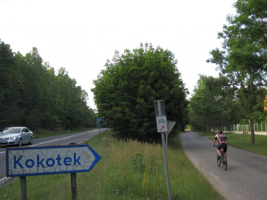 6,5km świetnej, leśnej ścieżki rowerowej