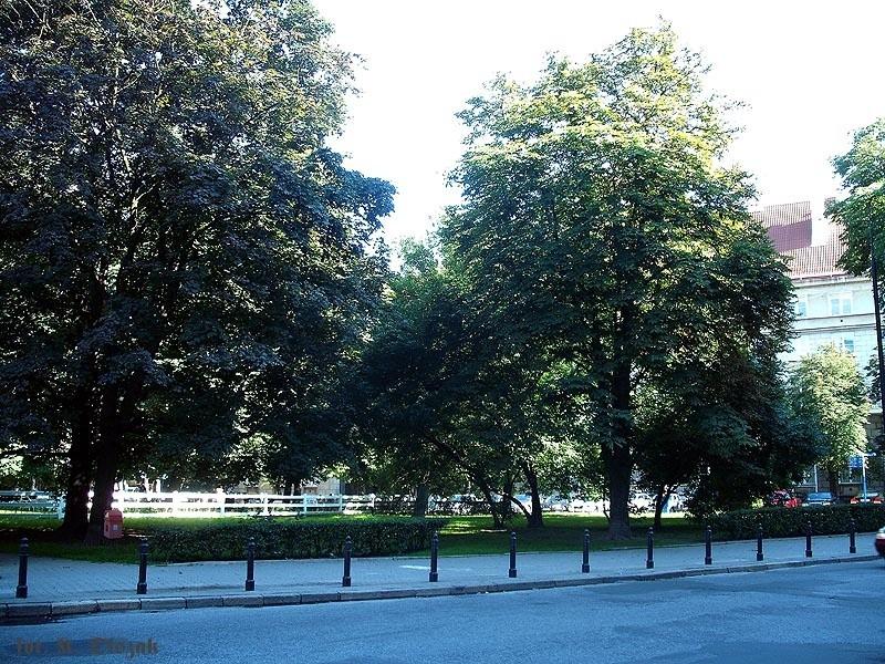 prywatny skwer