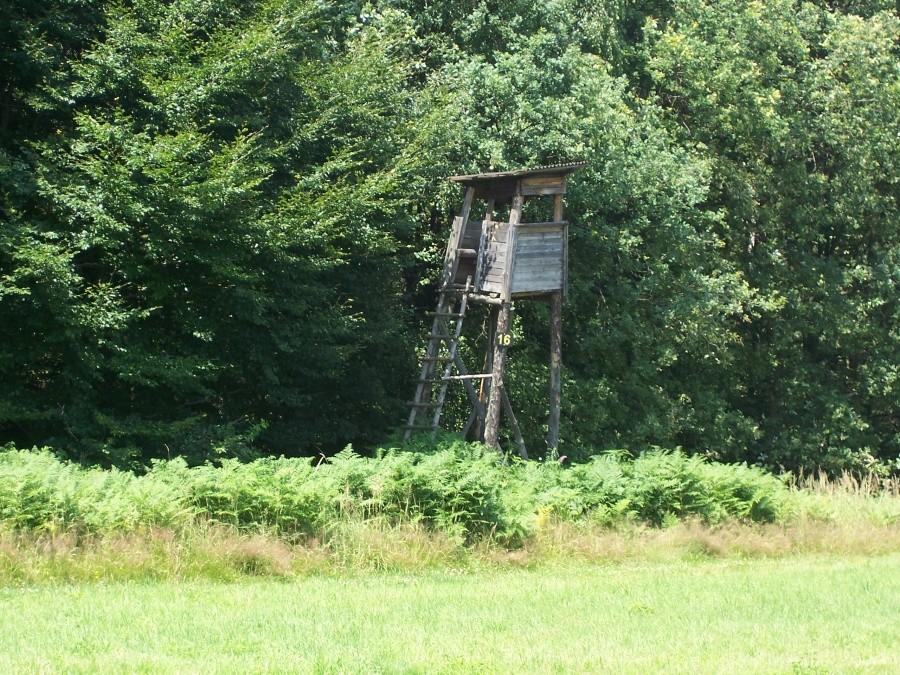 ambona - dedykacja dla Igorka:)