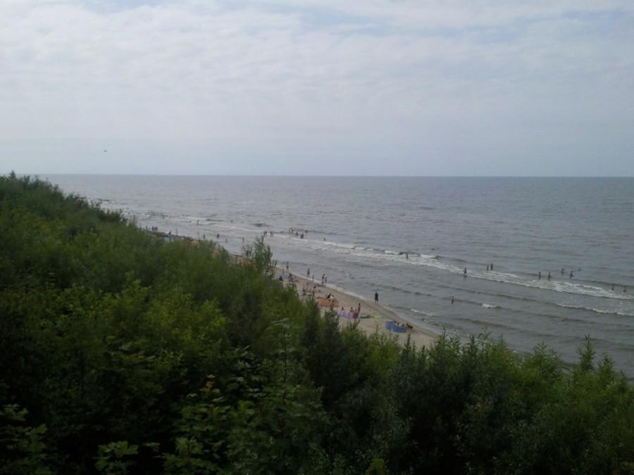 Widok na plażę