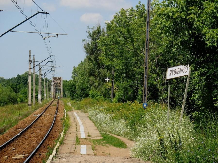 Przystanek kolejowy Rybienko