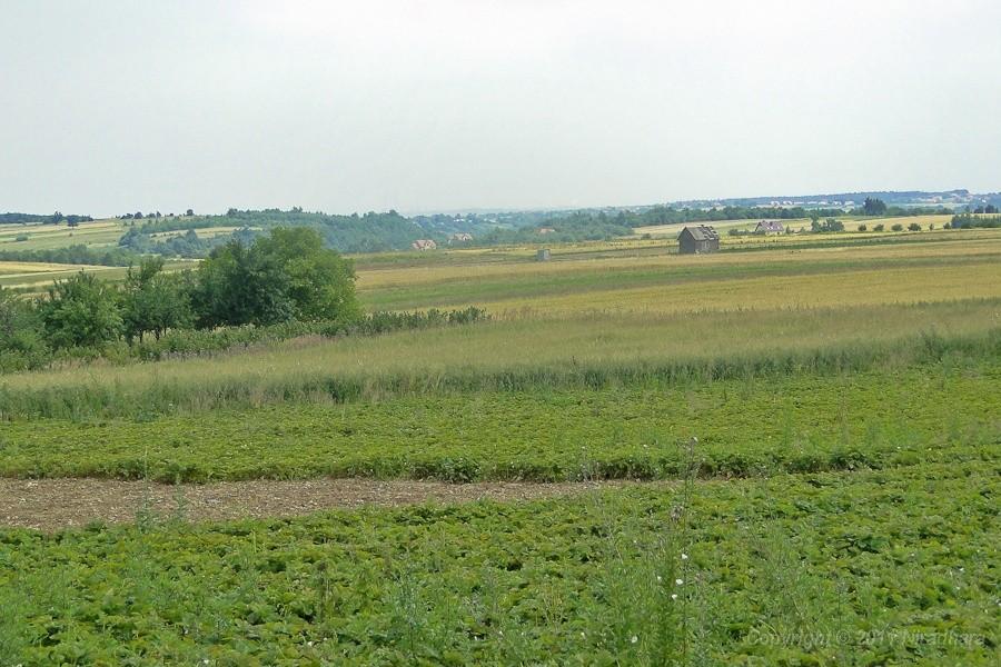 widok z drogi