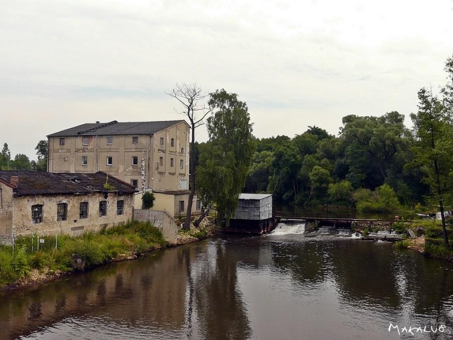 Działoszyn -młyn