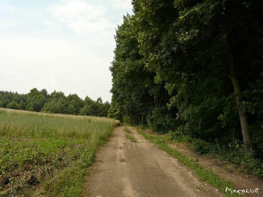 Ścieżka rowerowa nad Wartą - Lisowice