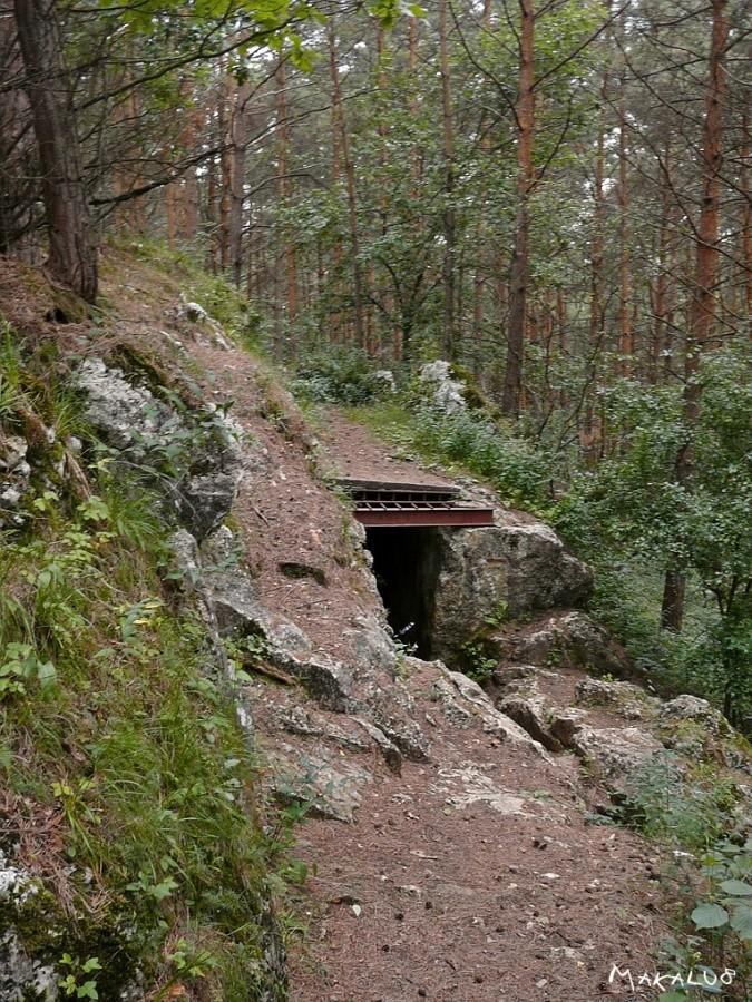 Rezerwat Wężę