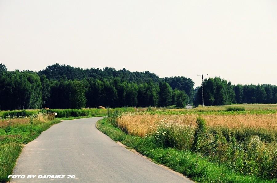 Dębno (Perła) Niebieski szlak w strone Biadolin