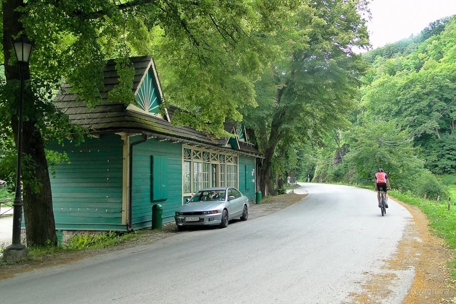 stąd się rozpełzają po OPN-ie