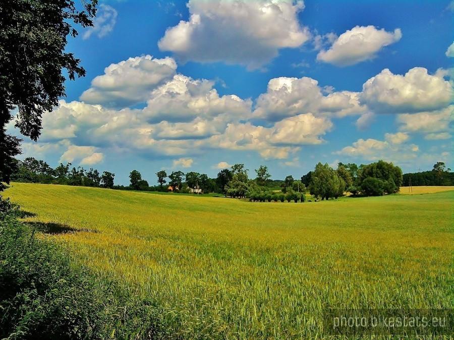 Kociewski krajobraz.