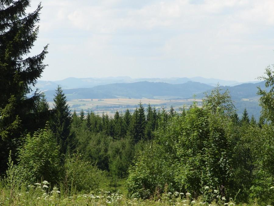 Widok z szczytu Laskówki w stronę Boguszyna.