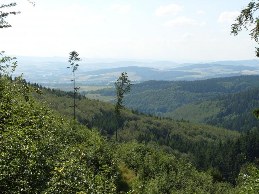 Widok z Jedlaka