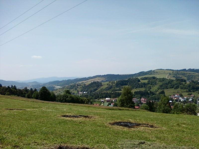 Widok z górnej części Zwardonia