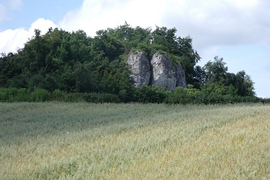 Skały wyrastają nawet na środku pola