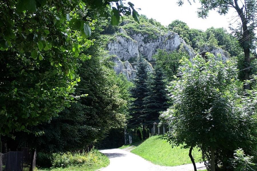 Widoczek