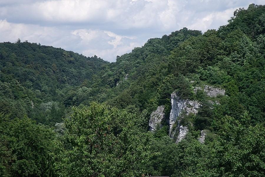 Widoczek