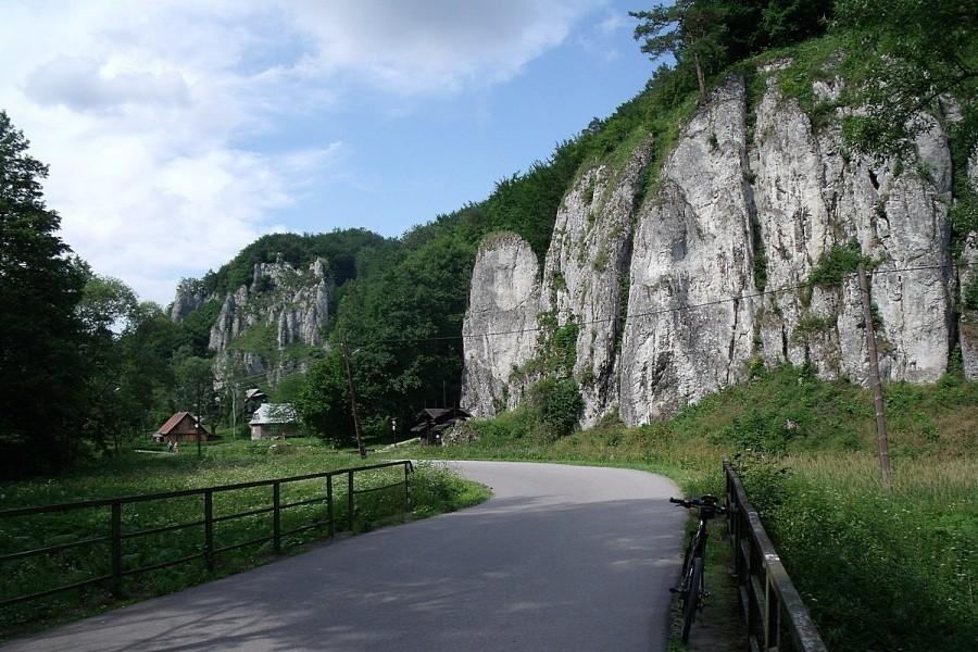 Widoczek