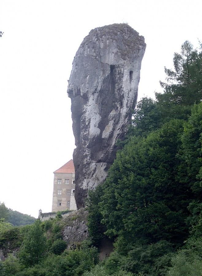 Maczuga Herkulesa musi być