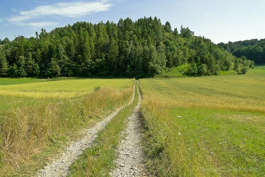 będzie trzęsawka
