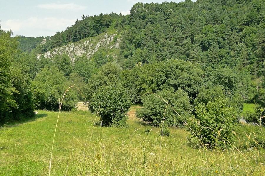 i znów w Dolinie Prądnika