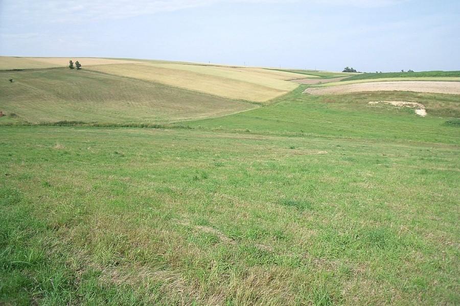 Tak wyglądają górna powierzchnia skałek