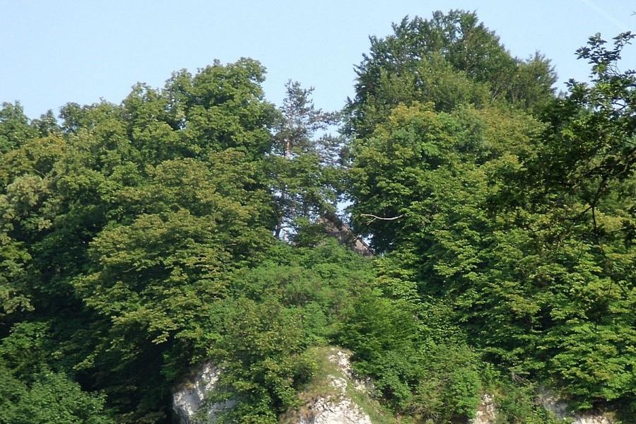Gdy się dobrze przyjrzymy widać dach pustelni