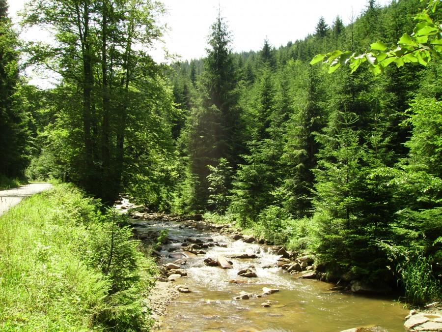 Czarna Wisełka