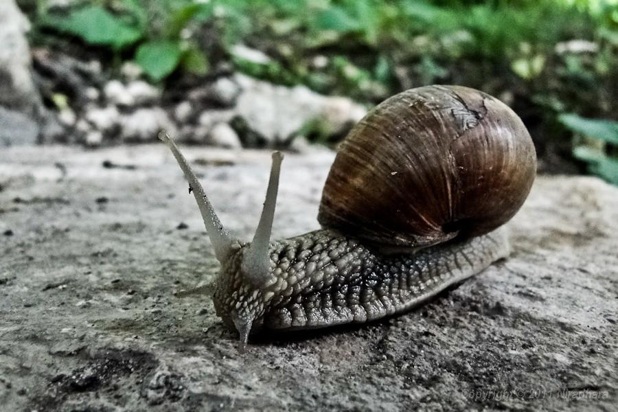 on też idzie zwiedzać zamek