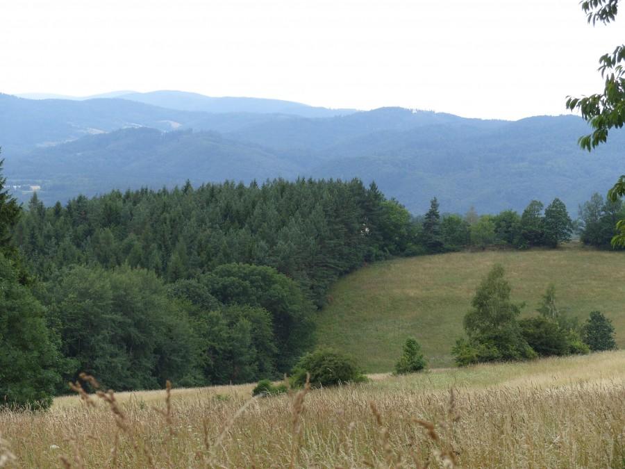 Widok na góry Bardeckie.