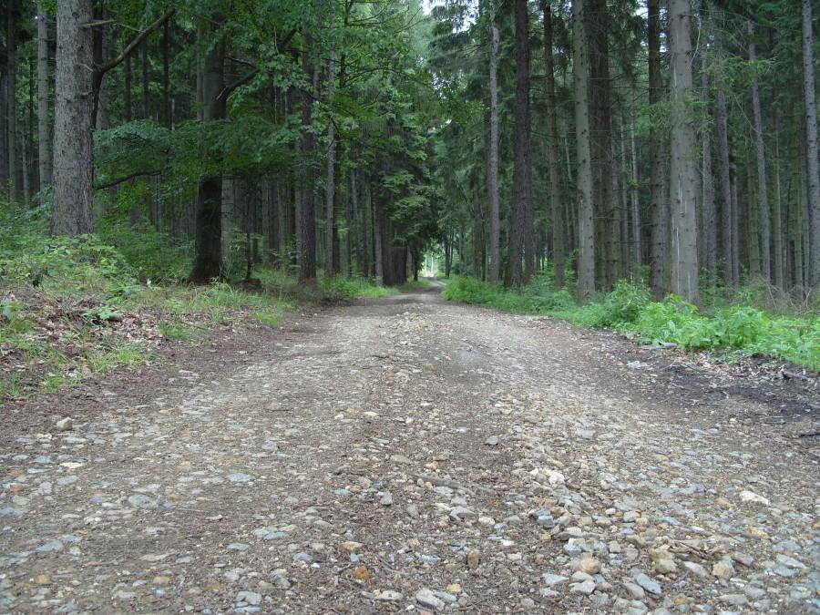 Prosta na przełęcz.