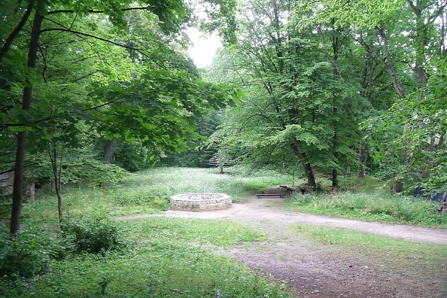Plac zamkowy
