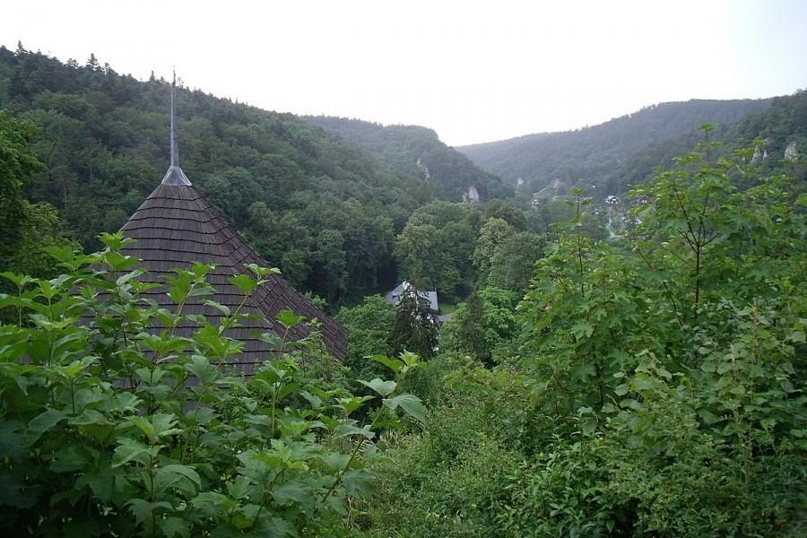 widoczek