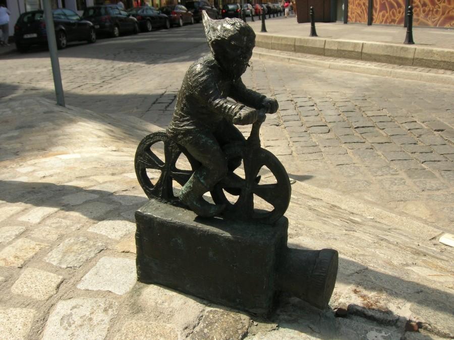 rowerzysta
