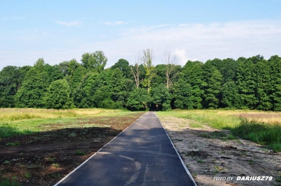 Dąbrowa droga rowerowa pomiędzy pogoria 3 a parkiem zielona
