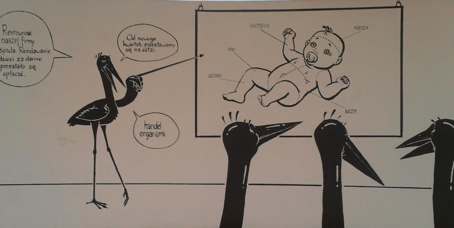 Pelikany zbierają organy :P