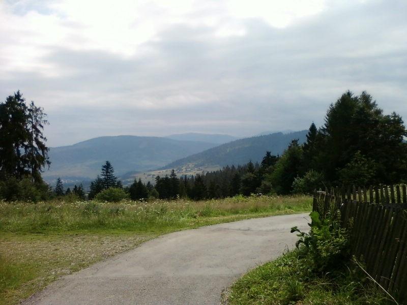 Widok z trasy
