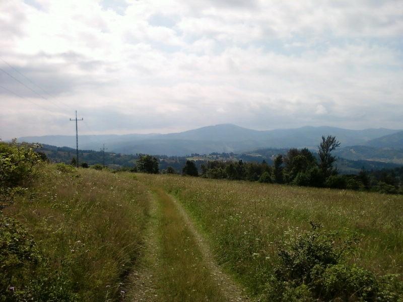 Fragment terenowy