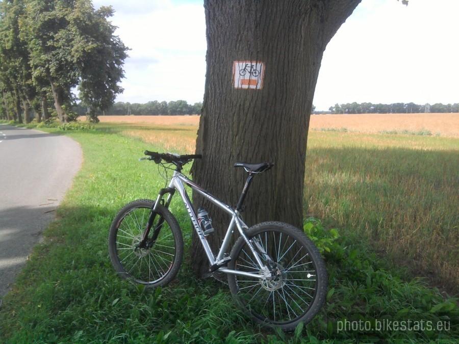 Droga Złotniki - Kiekrz - odcinek asfaltowy