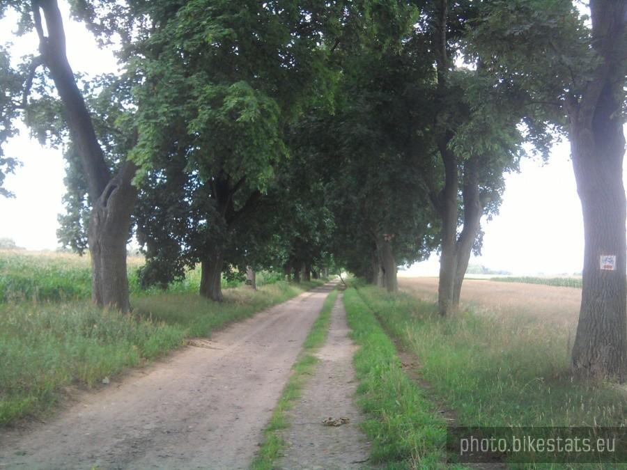 Trasa Złotniki - Kiekrz - odcinek szutrowy