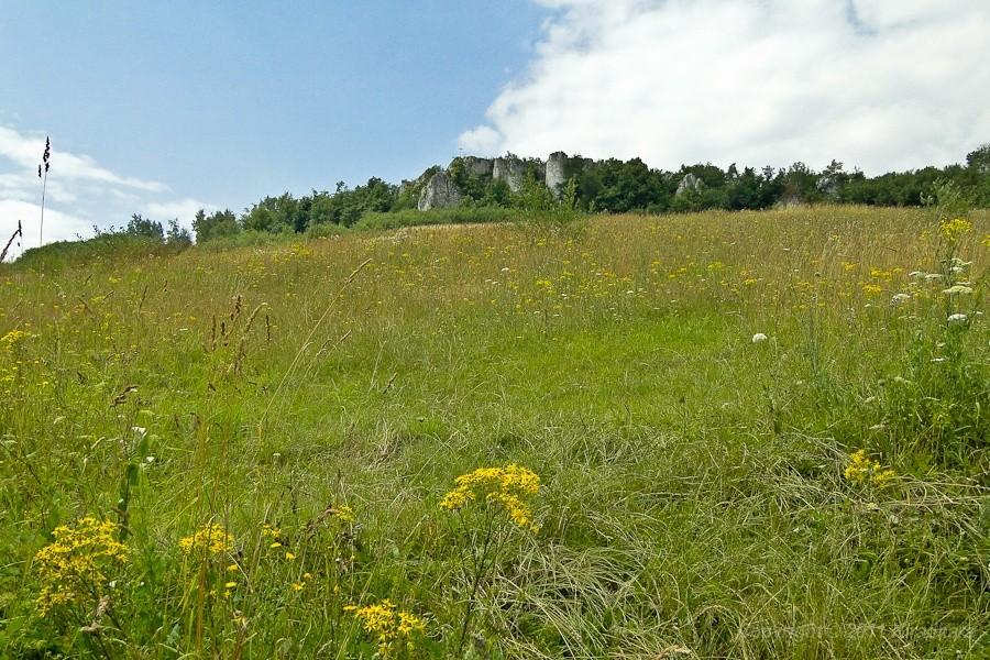 przydrożny krajobraz
