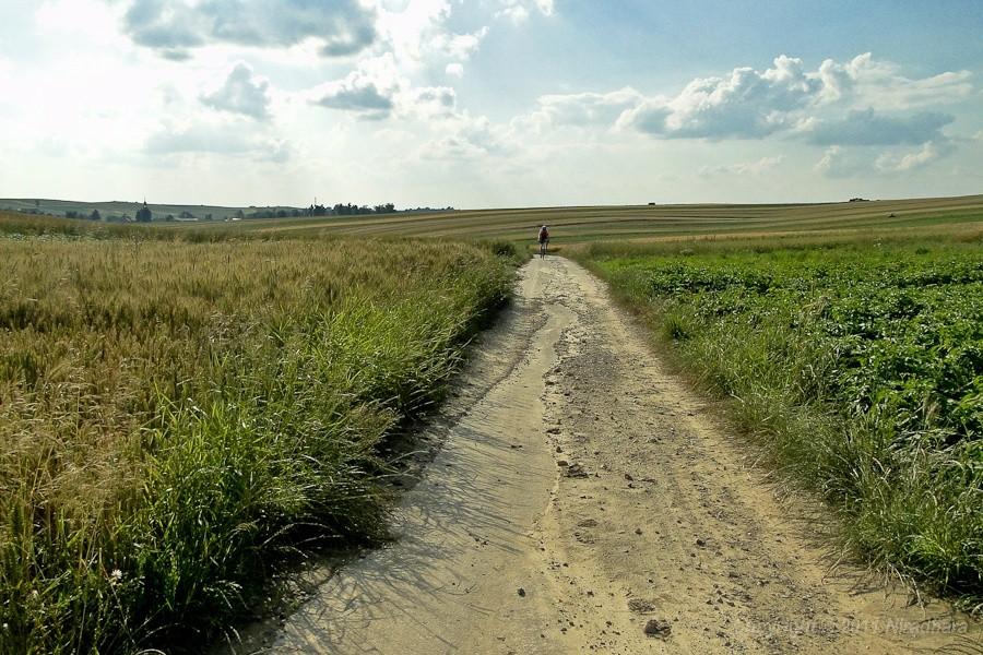 Piotrek na niebieskim szlaku rowerowym