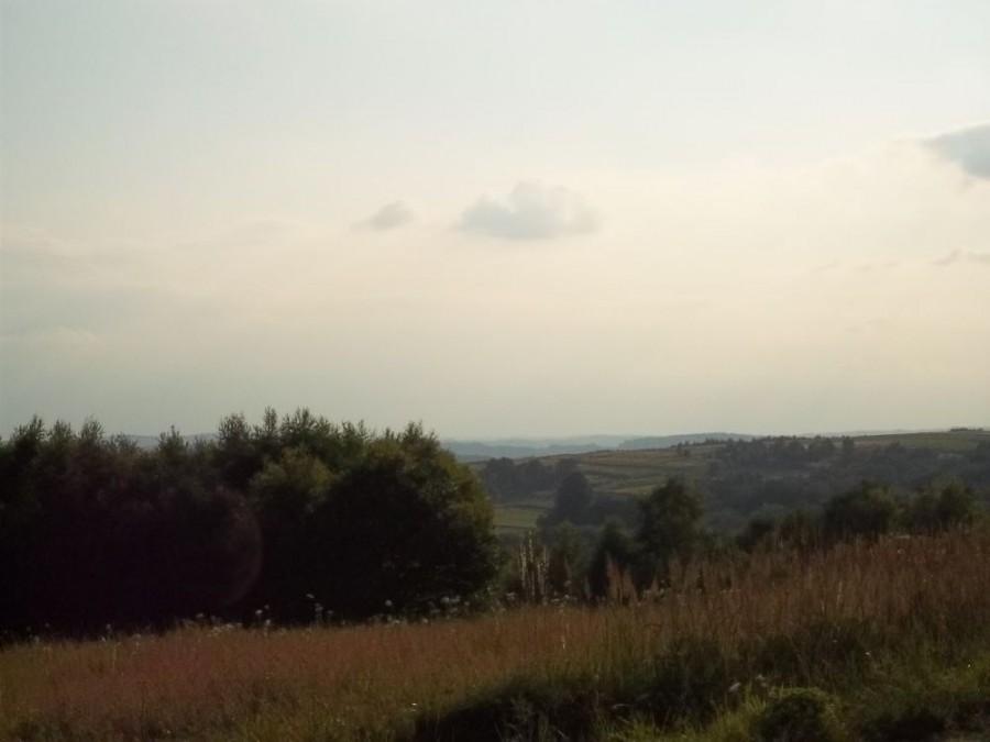 widoczność słaba