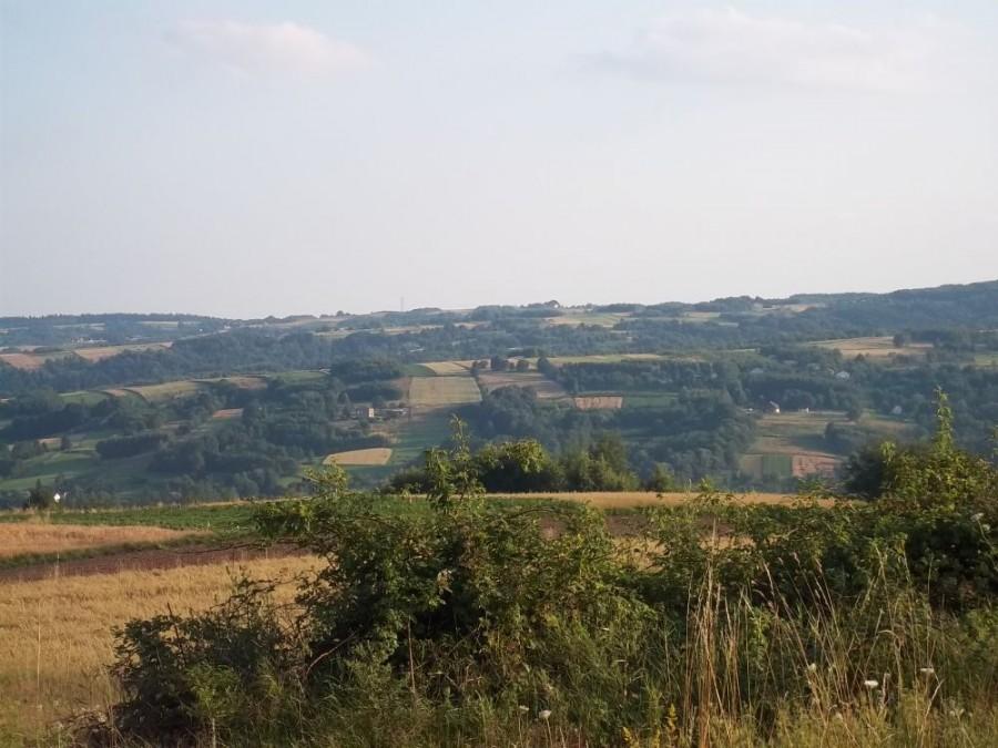 Góreczki