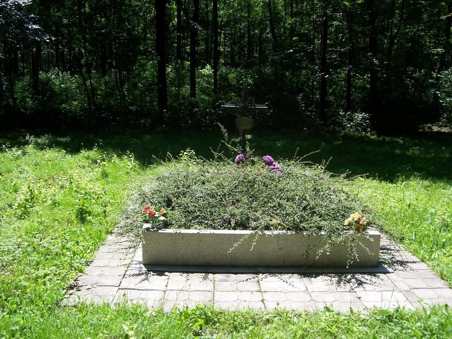 cmentarz leśny