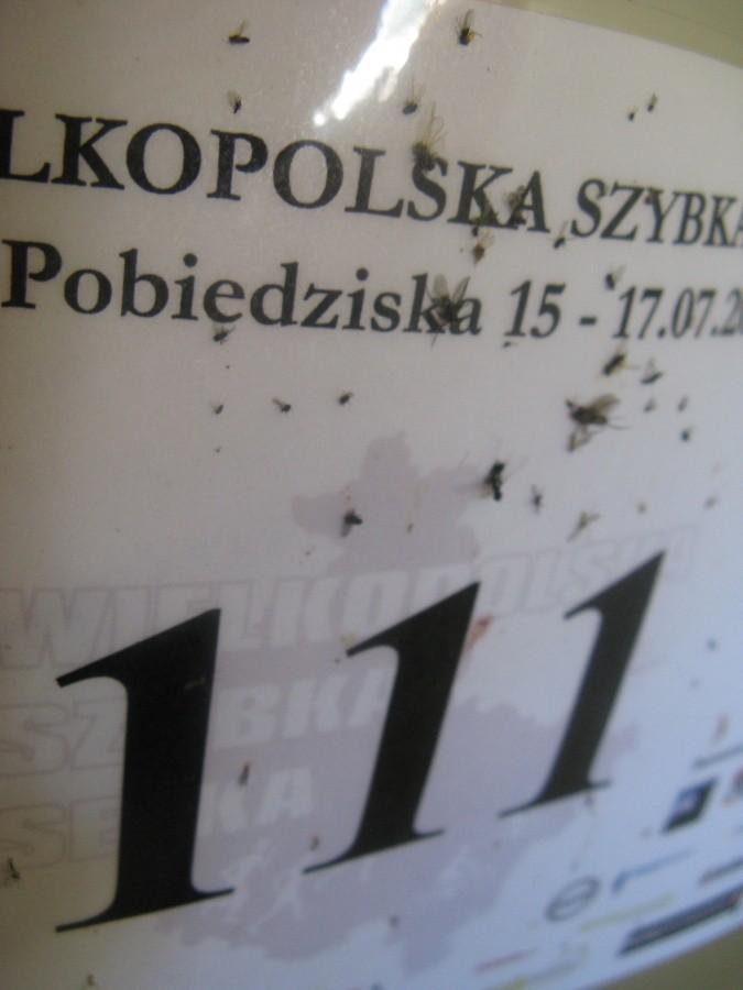 Muszki na numerze